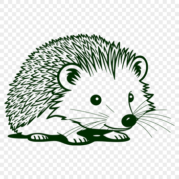 A detailed illustration of a hedgehog in vector format.