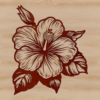 An SVG vector graphic of a single hibiscus bloom in full color.