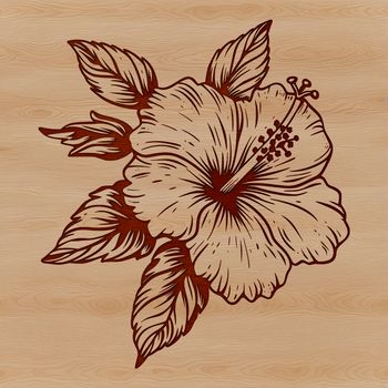Close-up of a Hibiscus plant's large showy flowers, ideal for garden-themed clip art and vector graphics.