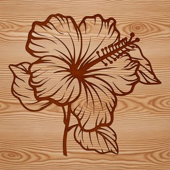 A detailed illustration of a large, tropical hibiscus flower with layered petals.