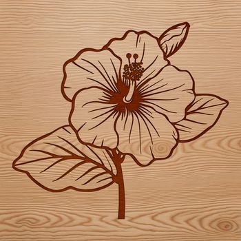 A large, colorful hibiscus flower with intricate details, suitable for vector art designs.