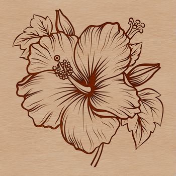 Illustrative hibiscus flower with detailed petals and center, suitable for vector design and commercial use.