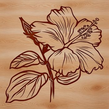 A colorful illustration of a hibiscus flower with detailed petals.