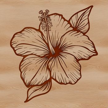 Hibiscus flower illustration in vector format.