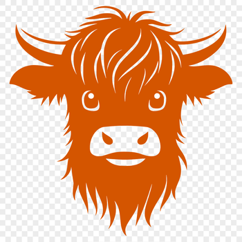 A close-up of a Highland cow's head, showcasing its distinctive horns and facial features.