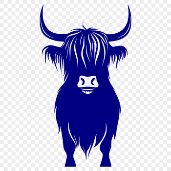 A standing cow with distinctive horns and shaggy coat, characteristic of the Highland breed.