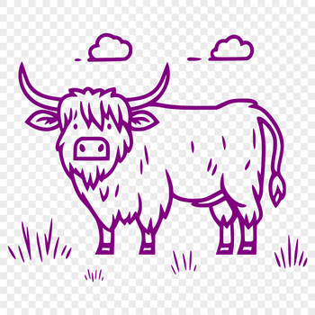 A full-bodied standing Highland cow, commonly found on farms in Scotland.