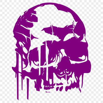 A detailed illustration of a skull with intricate details suitable for vector art or tattoo designs.