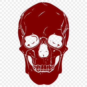 Free Skull - Procreate PDF