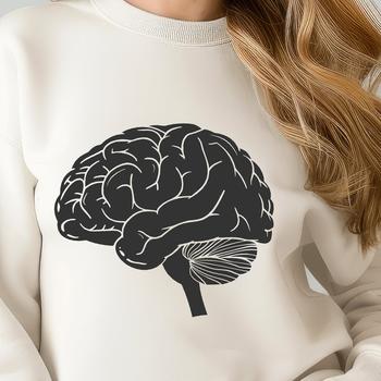 An illustration of the human brain, highlighting its internal structure and external features.