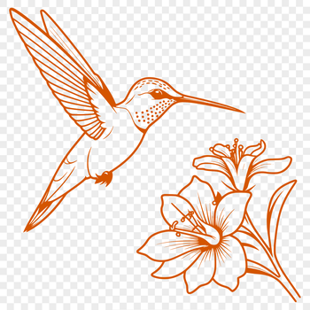 A colorful hummingbird illustration surrounded by floral elements.