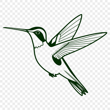 Illustration of a hummingbird, a small bird species known for its rapid wing movement.