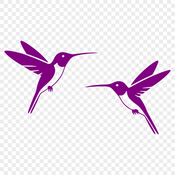 A colorful illustration of a hummingbird in flight, designed as vector art for various uses.