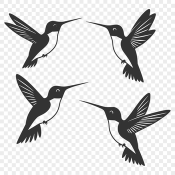 A colorful hummingbird in flight, rendered as a vector graphic.