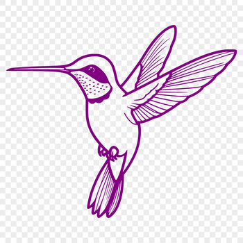 A detailed illustration of a hummingbird, showcasing its plumage and features in high resolution.