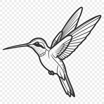 A vibrant illustration of a hummingbird in flight, depicted with intricate details.