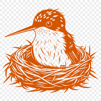 A detailed illustration of a hummingbird in flight, created as a vector graphic for digital use.