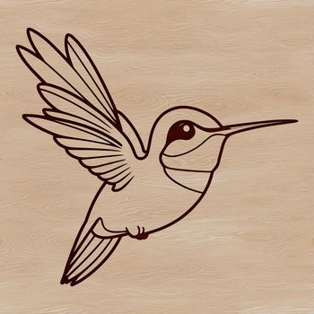 A stylized vector illustration of a hummingbird in flight.