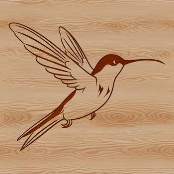 An animated vector design of a wild hummingbird in motion.