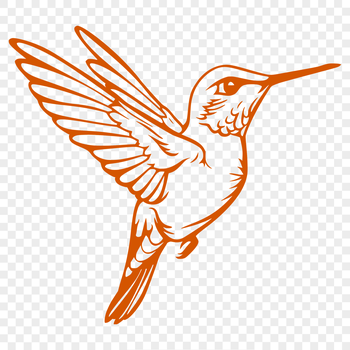 A close-up illustration of a hummingbird in mid-air, showcasing its iridescent feathers.