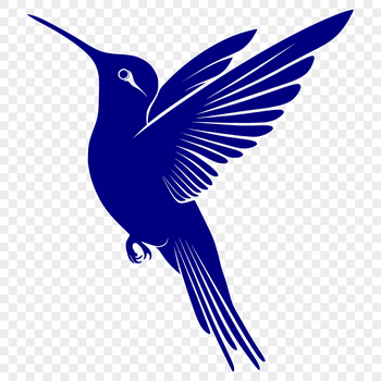 A digital illustration of a hummingbird in mid-flight, showcasing its full body and plumage.