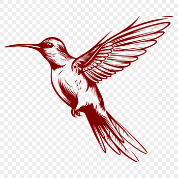 A detailed illustration of a hummingbird in full body, showcasing its flying pose with vibrant colors.