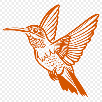 A detailed illustration of a hummingbird in mid-flight, showcasing its full body form.