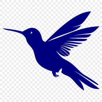An illustration of a hummingbird's full body as it hovers in the air, showing its plumage details.