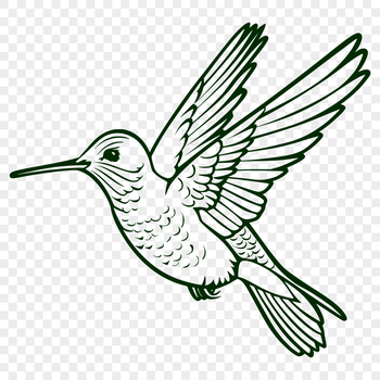 Close-up of a flying hummingbird with detailed body features.