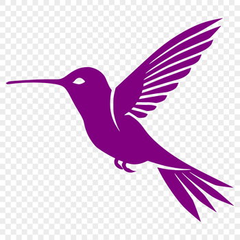 A detailed illustration of a hummingbird in mid-flight, showcasing its full body shape and plumage.