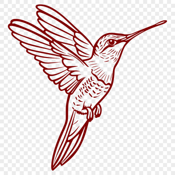 A stylized illustration of a hummingbird in mid-flight, showcasing its full body and wingspan.