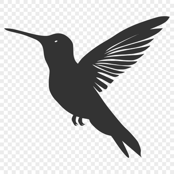 Hummingbird In PDF