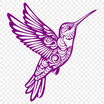 A colorful, full-body illustration of a hummingbird in flight, suitable for vector art and cutting machine projects.