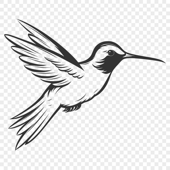 A detailed illustration of a hummingbird in mid-flight, showcasing its feathers and body.