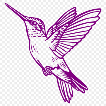 Unique Hummingbird Illustration