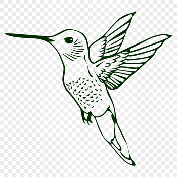 A detailed illustration of a hummingbird in flight, showcasing its iridescent feathers and long beak.