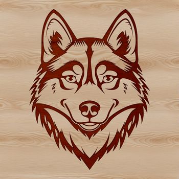 A Siberian Husky dog's head, ideal for vector art designs.