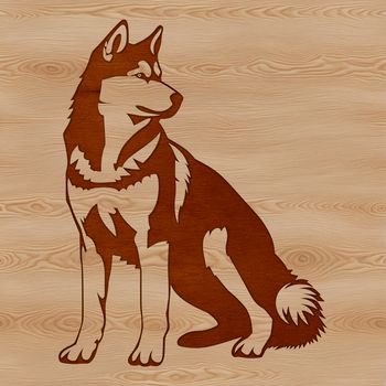 A husky dog sitting on its haunches, depicted in vector format.
