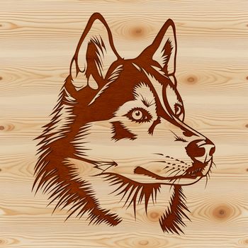 A detailed illustration of a Siberian Husky's head, suitable for vector design projects.