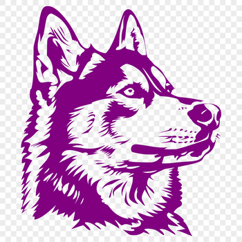 Close-up illustration of a Siberian Husky's head with distinctive facial features.