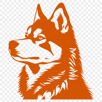 A portrait of a Siberian Husky's face with detailed fur texture.