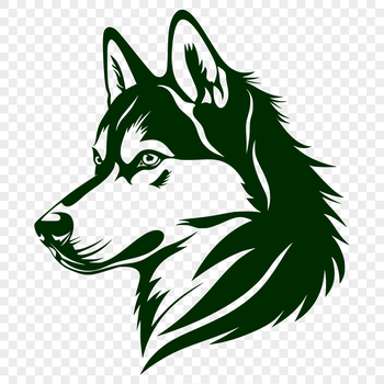 A stylized illustration of a Siberian Husky's head, suitable for vector art and commercial or personal use in designs.