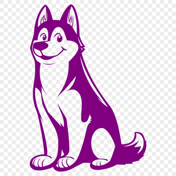 A sitting Siberian Husky dog in full body pose.