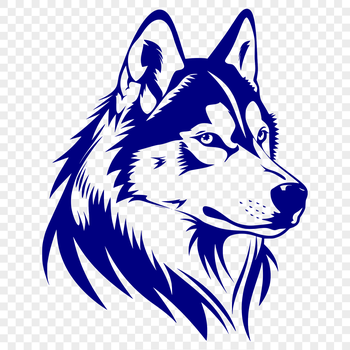 A digital illustration of a Siberian Husky dog's head in vector format.
