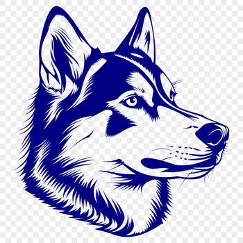 An illustration of a husky dog's head, suitable for use in graphic design.