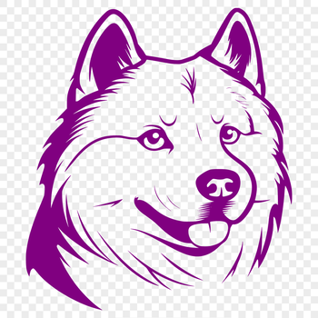 A Siberian Husky dog breed in profile view, suitable for vector graphics.