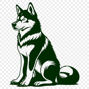 A sitting Siberian Husky dog in full body, suitable for use as clip art or vector design.