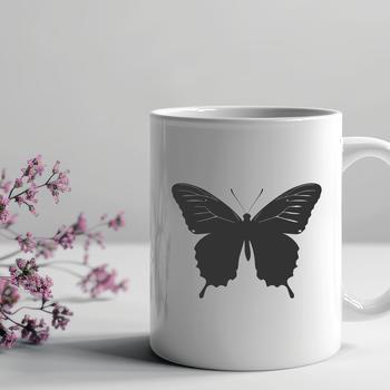 Beautiful Butterfly Vector Image