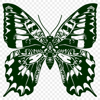 A vector graphic representation of a butterfly in its entirety, suitable for various design applications.