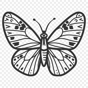 A colorful butterfly with detailed wings and body, suitable for vector graphics and clip art designs.